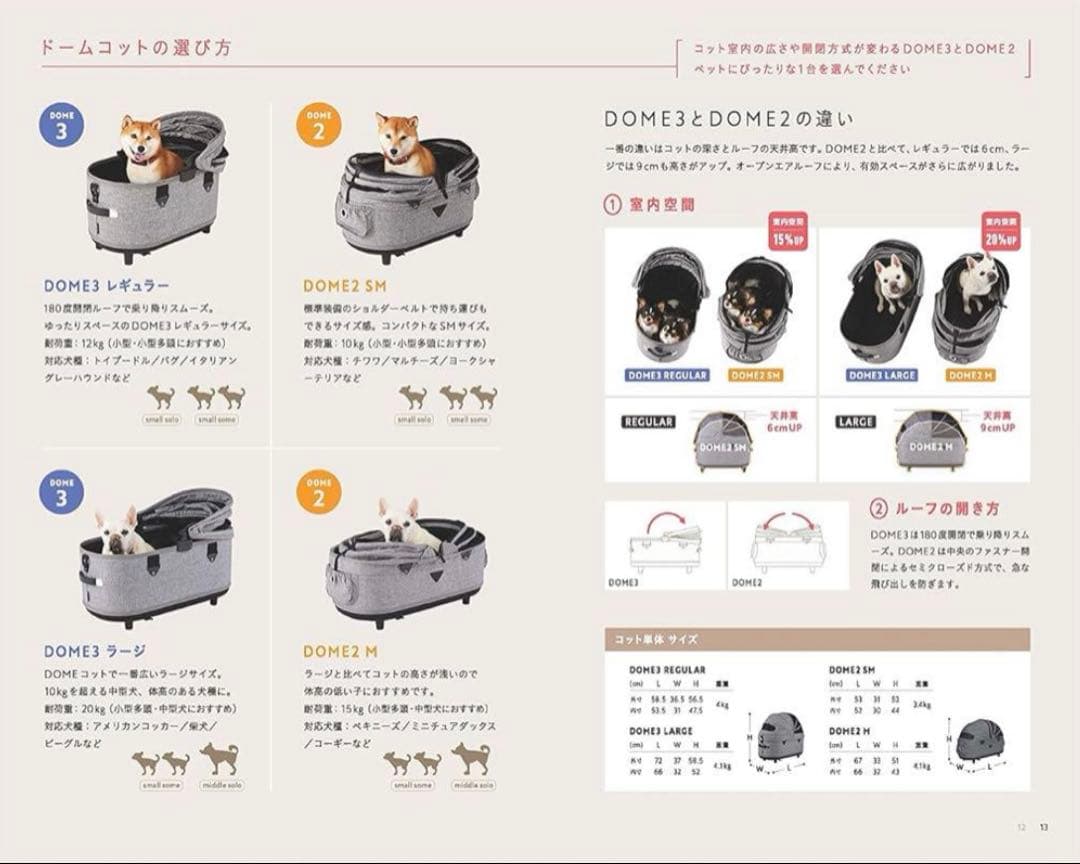 エアバギー　AIRBUGGY DOME2