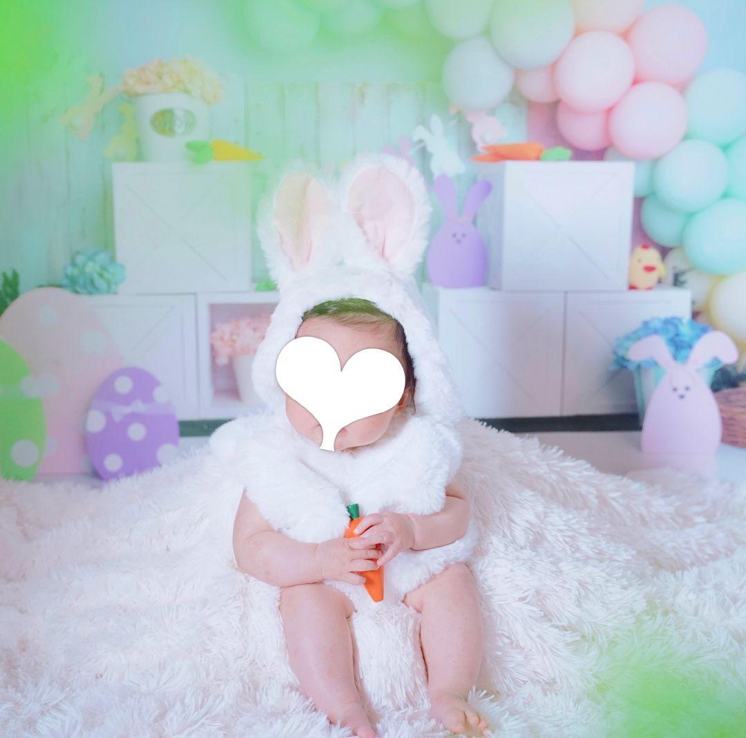 背景布×10枚+2　ペット撮影用フォトブース　トリミングチョーカー販売中