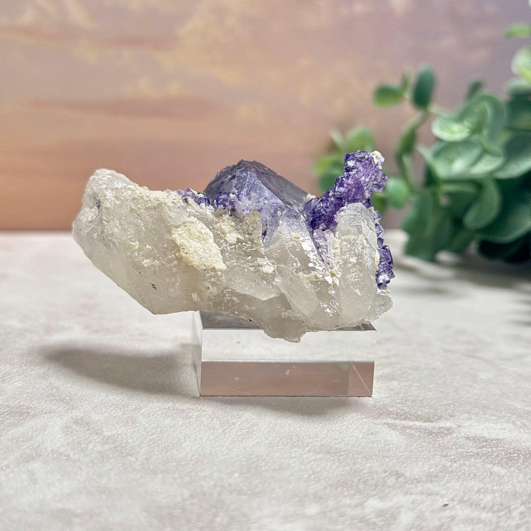 ◆【D018】針状鉱物入りフローライト ヤオガンシャン Aタイプ 原石 鉱物標本