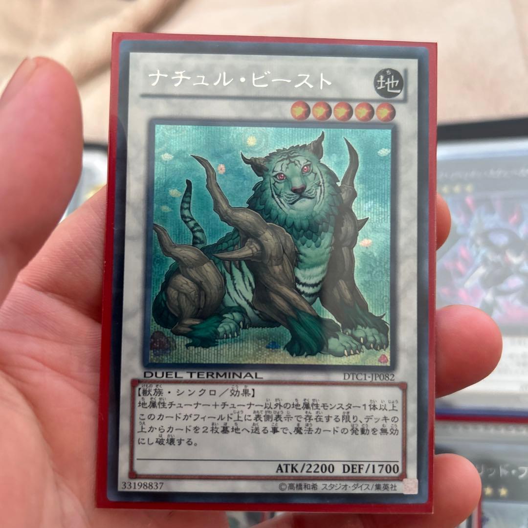 ナチュル・ビースト　DTCシク　シークレット