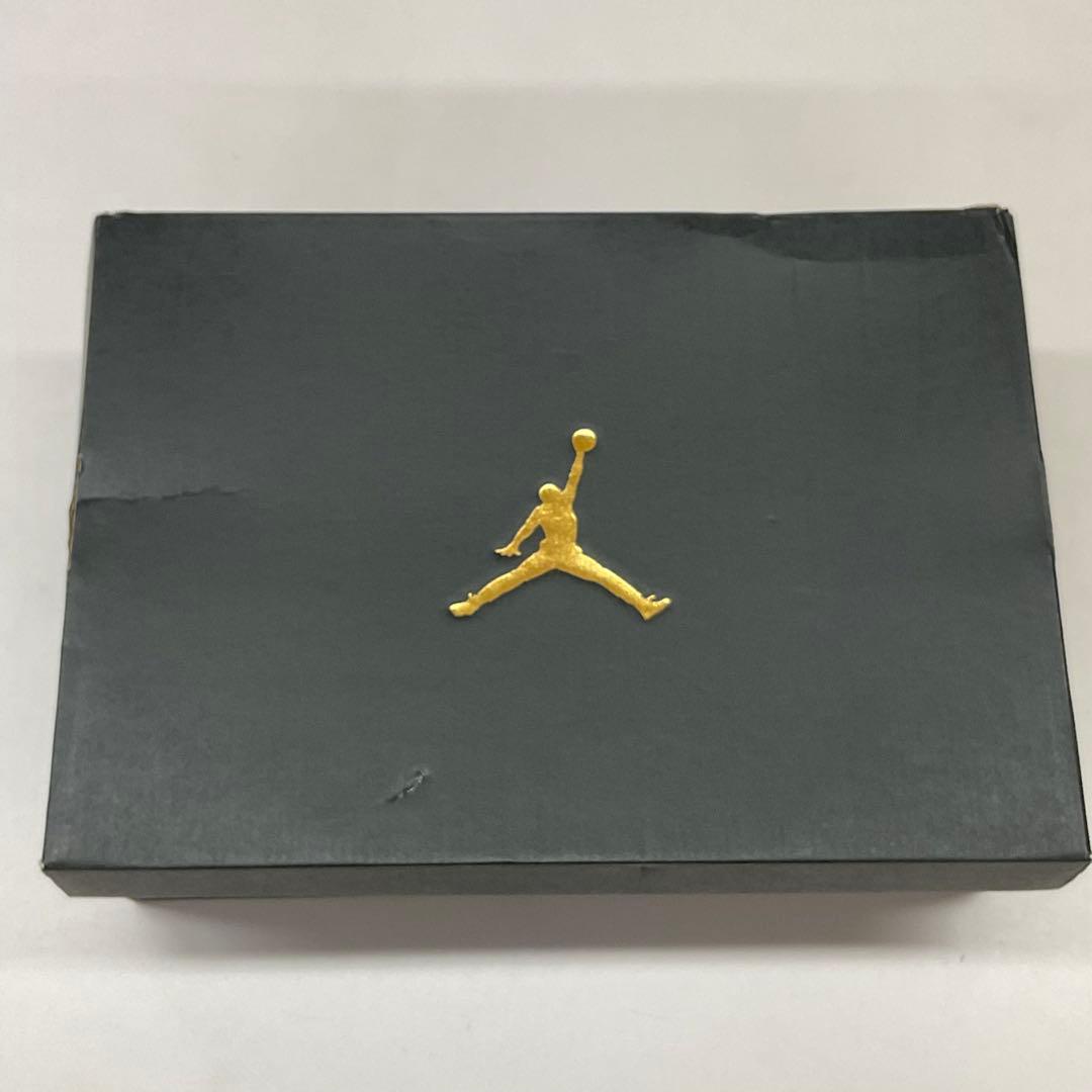 ナイキ ゴルフシューズ エアジョーダン9G 26センチ FN6930-001