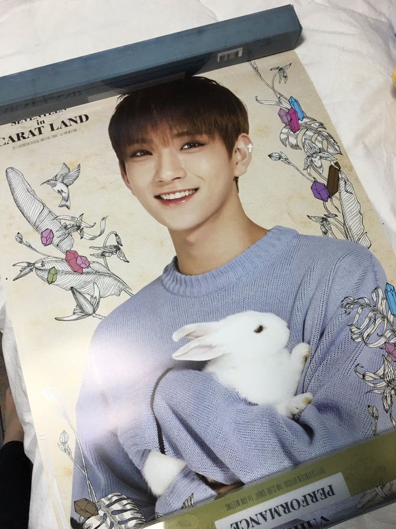 SEVENTEEN 2017 ペンミ ボカチ ポスターセット