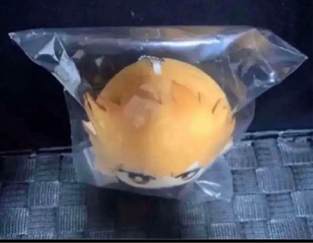 ブリーチ 千年血戦篇 ともぬい ぬいぐるみ 黒崎一護 新品タグ付き