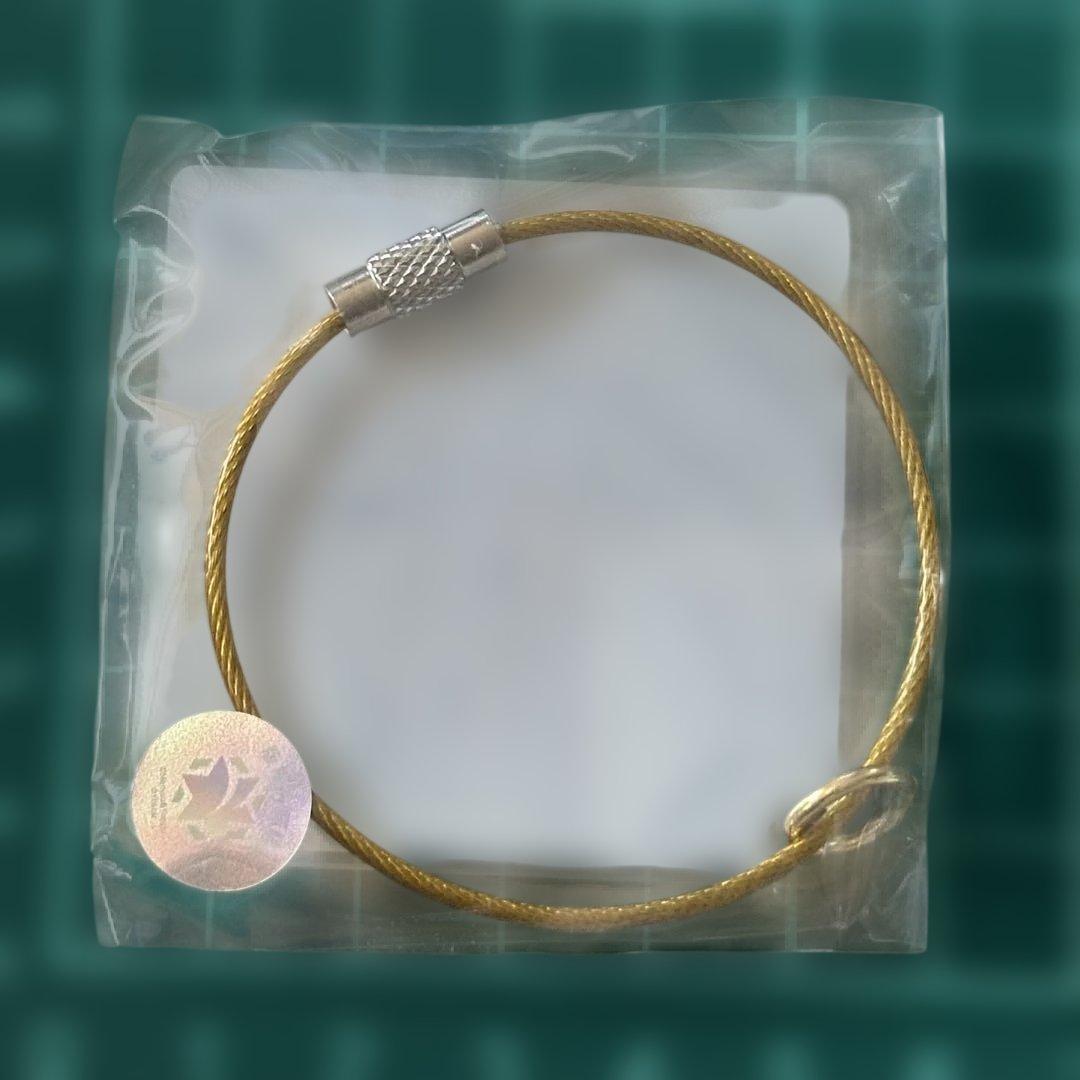 アズールレーン　アズレン　ベルファスト　アニメイト　ガチャ　アクリルキーホルダー