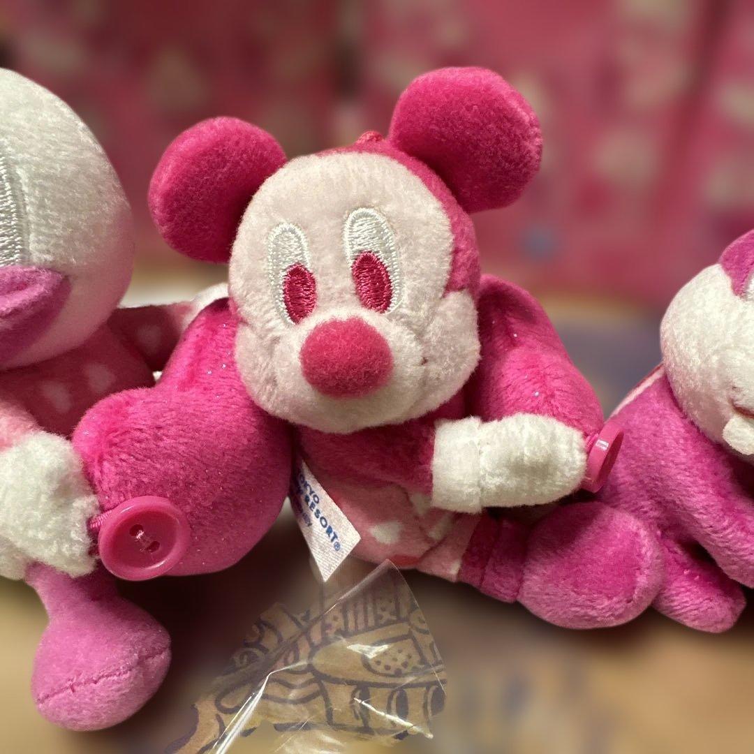 ミニーマウス ぬいぐるみ 東京ディズニーランド 5点セット ぬいぐるみチャーム