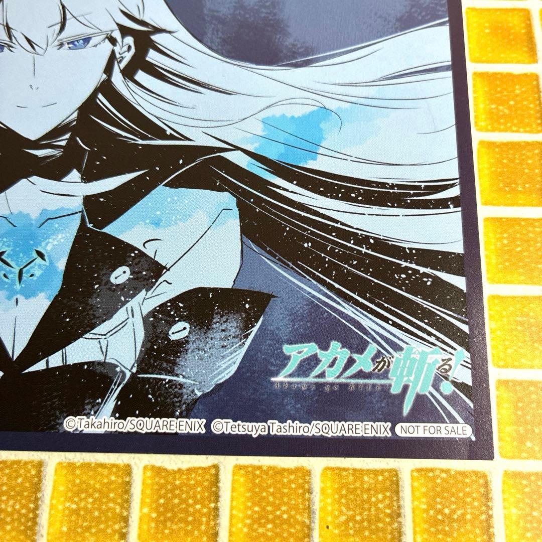アカメが斬る　特典　イラストカード　エスデス　非売品　レア