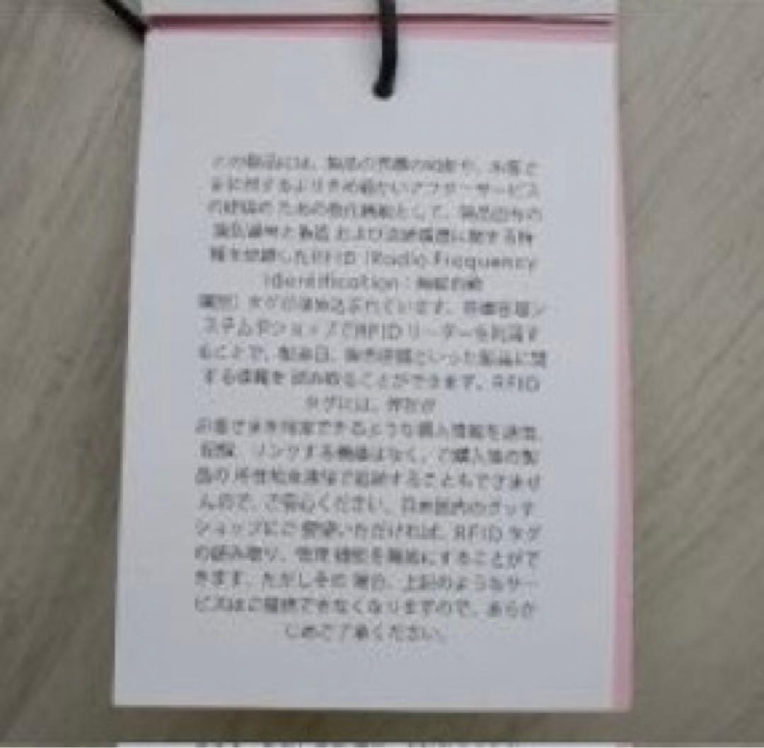 最安値　新品未使用　Gucci The North Face Tent テント