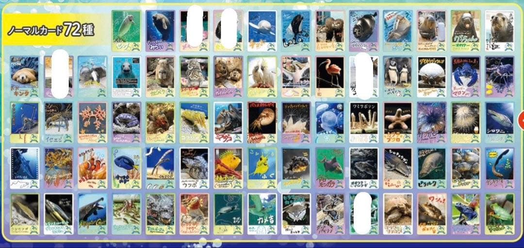鳥羽水族館コレクションカード　バラ売り