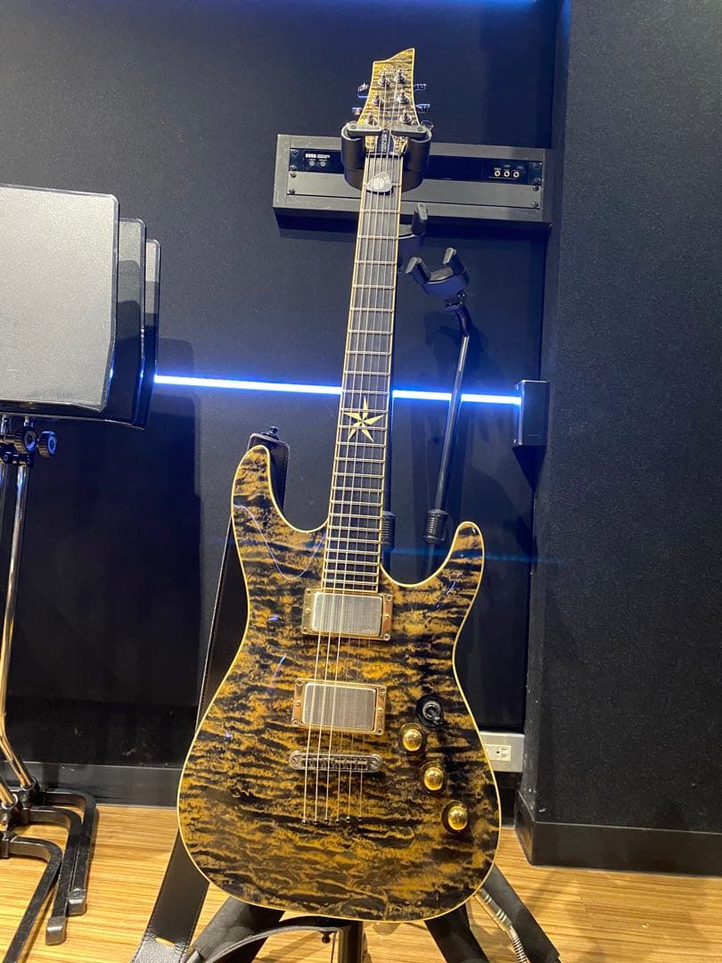 ギター SCHECTER / Diamond Series Exotic Star