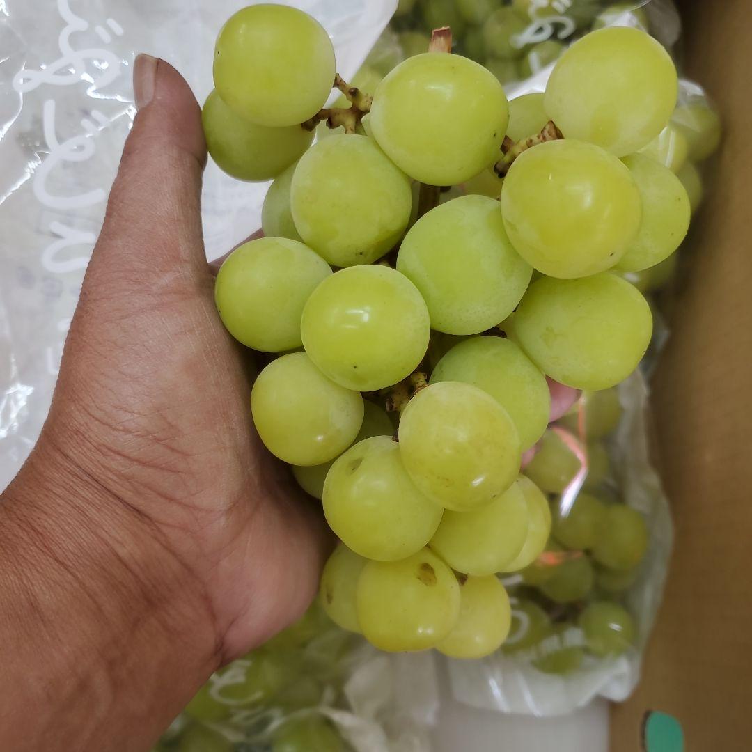 7️⃣ 山梨県産 シャインマスカット １３房入り 箱込み5.5キロ