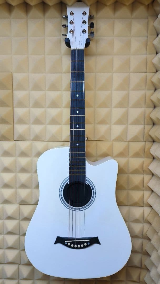 [美品] Canny アコースティックギター CN-01