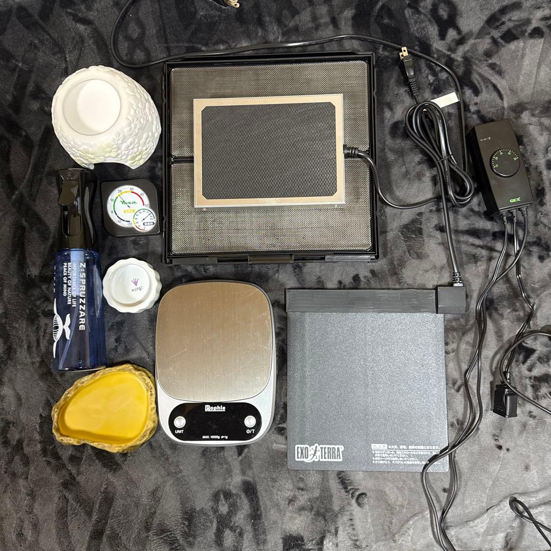 GEX EXOTERRA グラステラリウム3030 飼育ゲージ フルセット