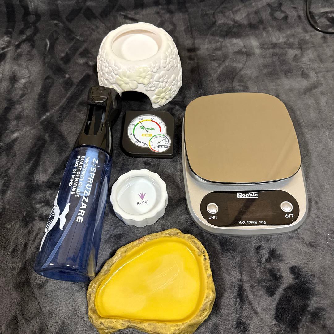 GEX EXOTERRA グラステラリウム3030 飼育ゲージ フルセット