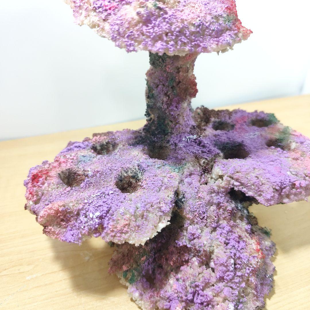 プラグ穴付き アク抜き不要人工ライブロック 海水水槽 レプリカ コーラルフラグ6