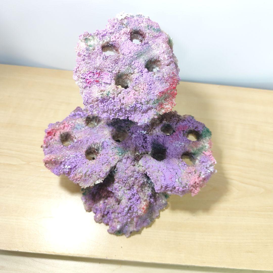 プラグ穴付き アク抜き不要人工ライブロック 海水水槽 レプリカ コーラルフラグ6