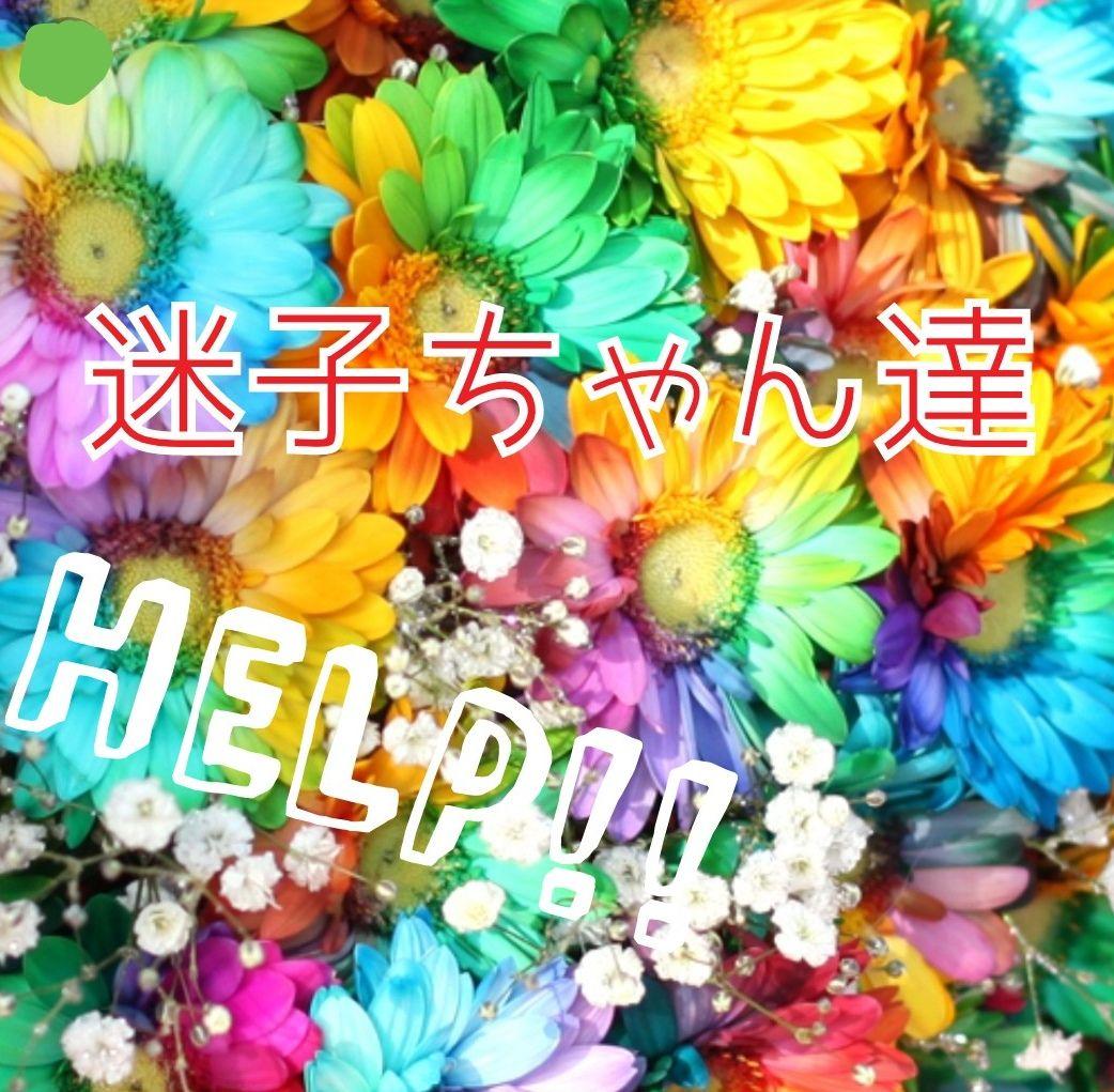 迷子ちゃん居ます!