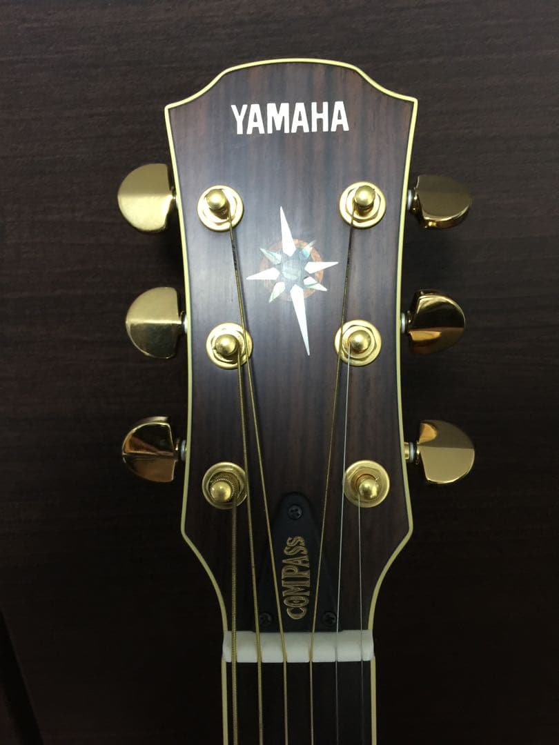 佐野元春デビュー20周年ギター　YAMAHA CPX-15MS