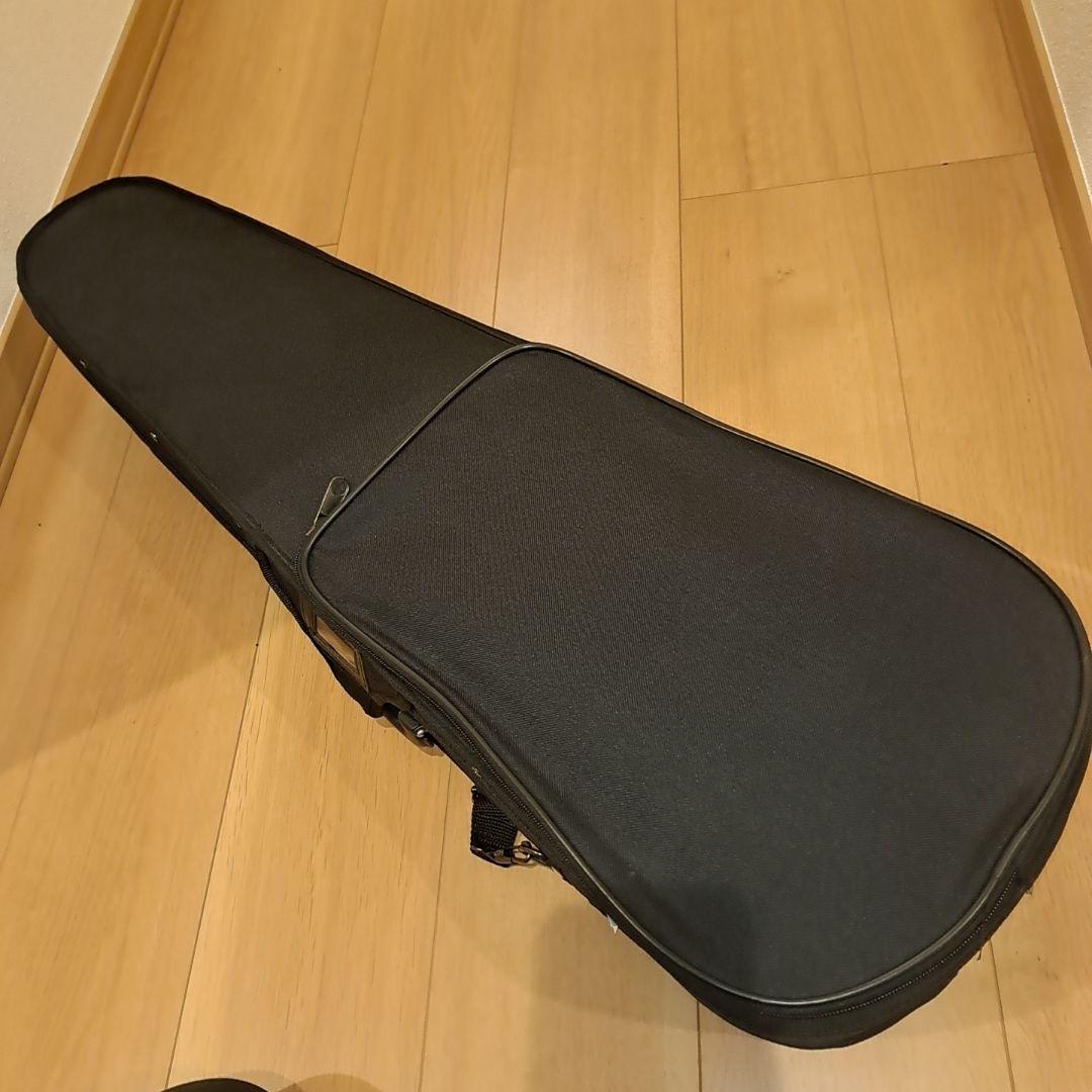 【極美品】カルロ ジョルダーノ　バイオリン　VS-1 4/4 2021年