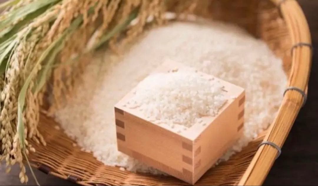 ♡山形県天童産♡はえぬき玄米10kg