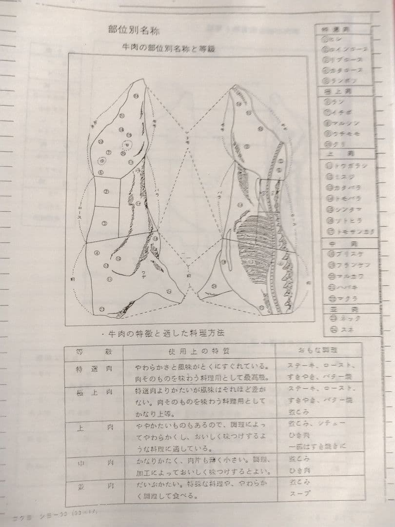精肉商品づくり、商品知識マニュアル