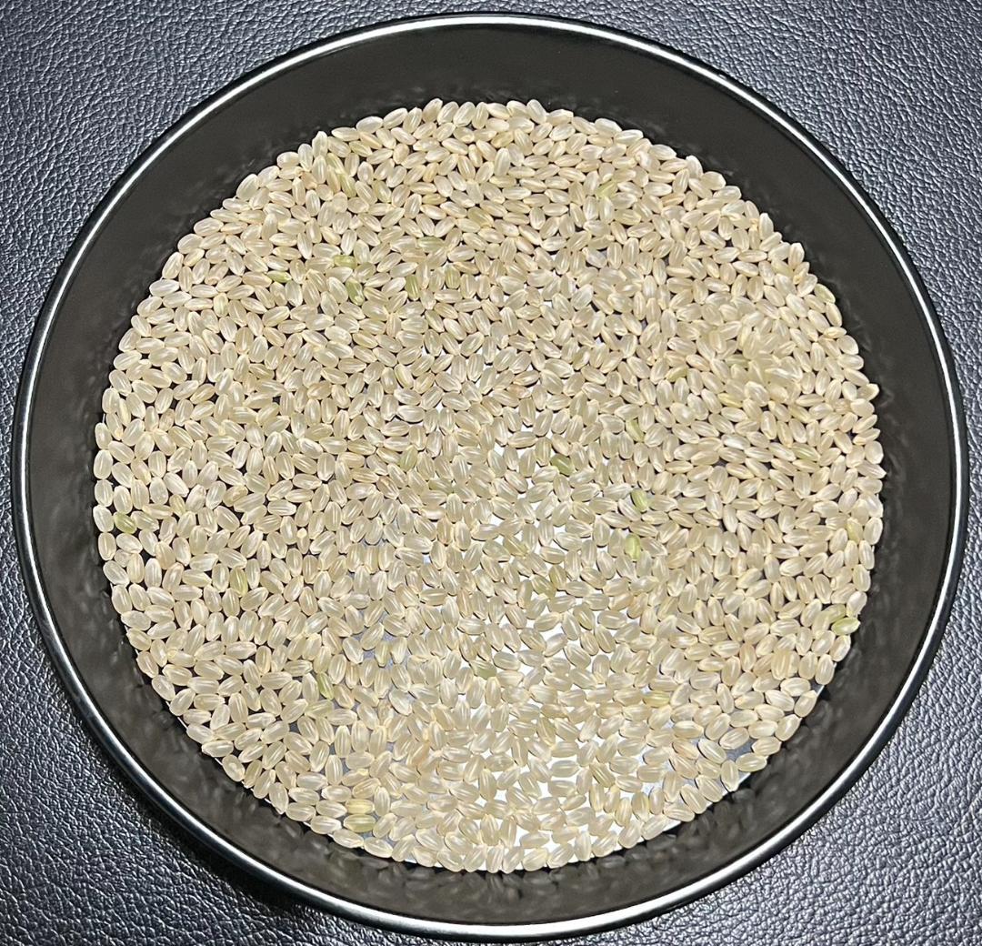 一等検査 特別栽培米 玄米 令和7年産 京都 丹後 コシヒカリ 10kg