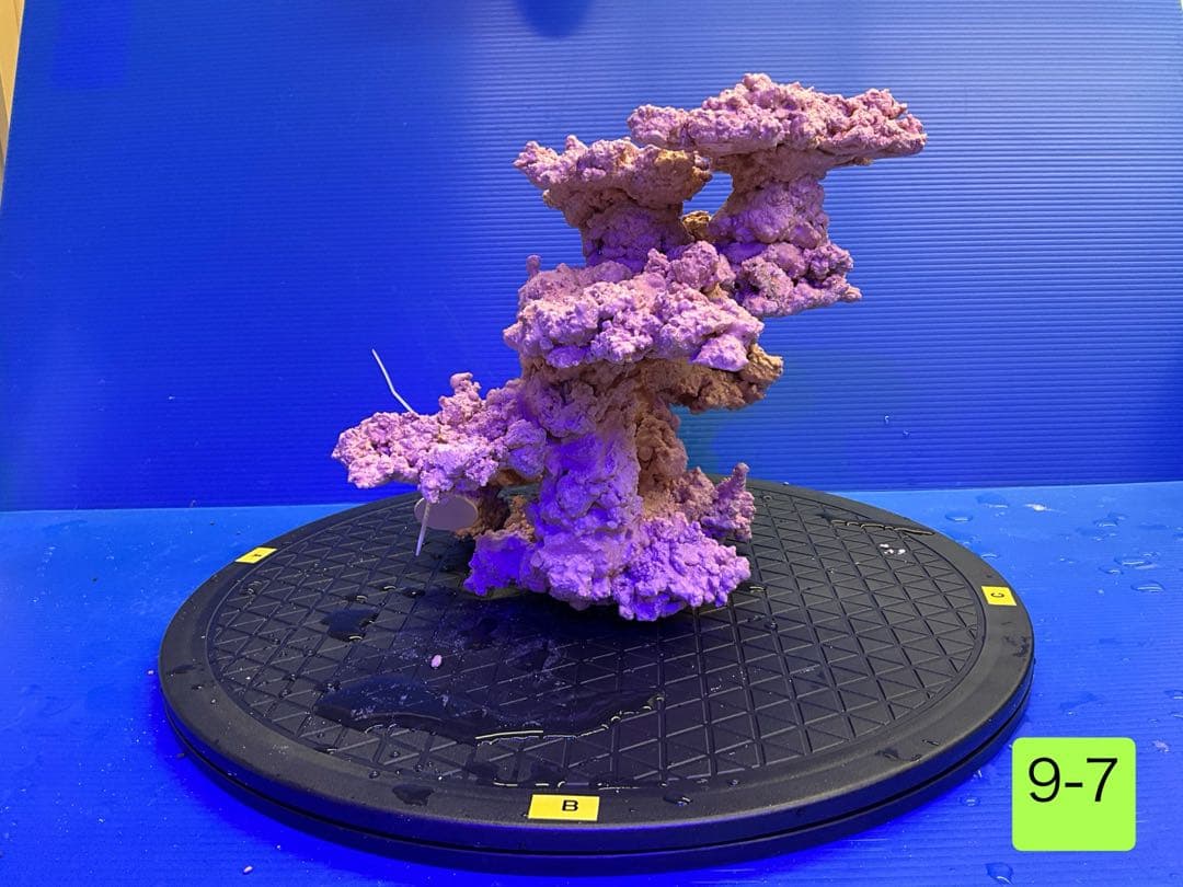 人工ライブロック　No.9-7 CO2 無害化処理済