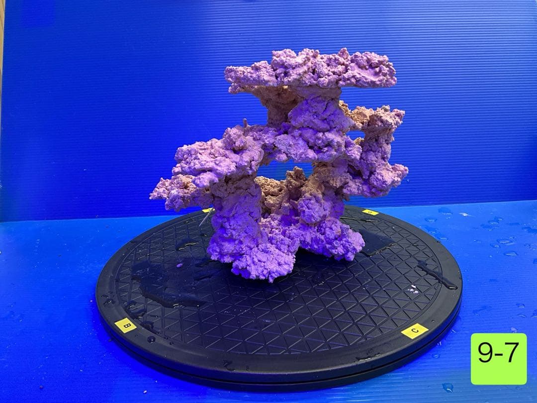 人工ライブロック　No.9-7 CO2 無害化処理済