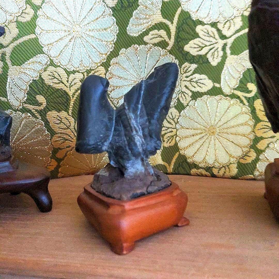 【最終価格】紀州名産　古谷石　銘、親子鶏　　谷本百穂箱書付　水石　盆石