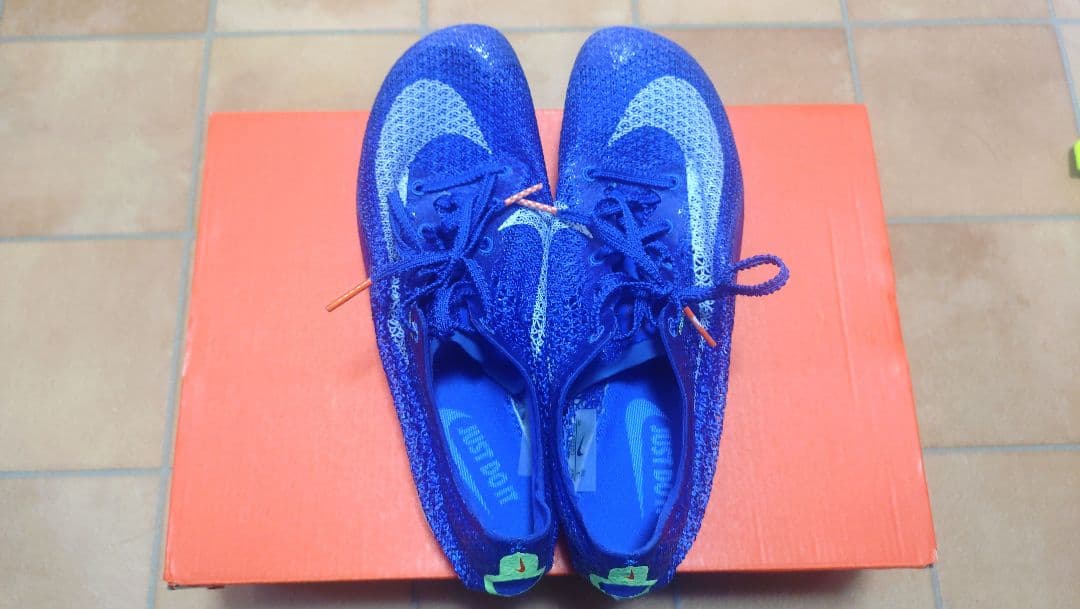 ナイキ　エアズームヴィクトリー 25cm