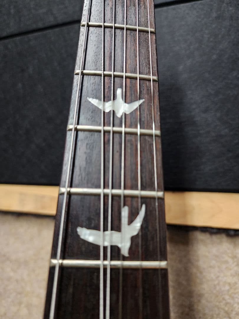 ギター PRS SE Custom 24 25th Anniversary