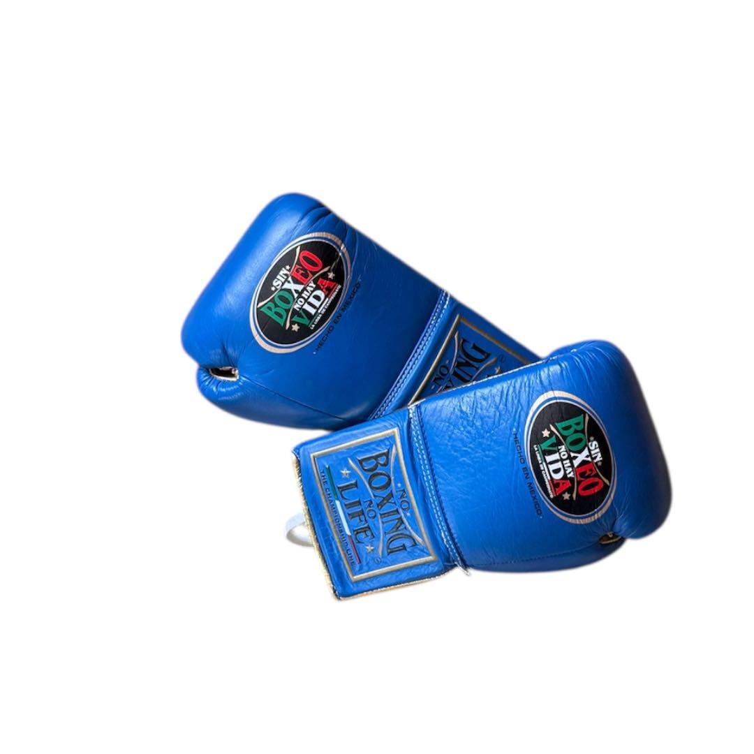 『新品未使用品』ボクシンググローブ No Boxing No Life 10oz