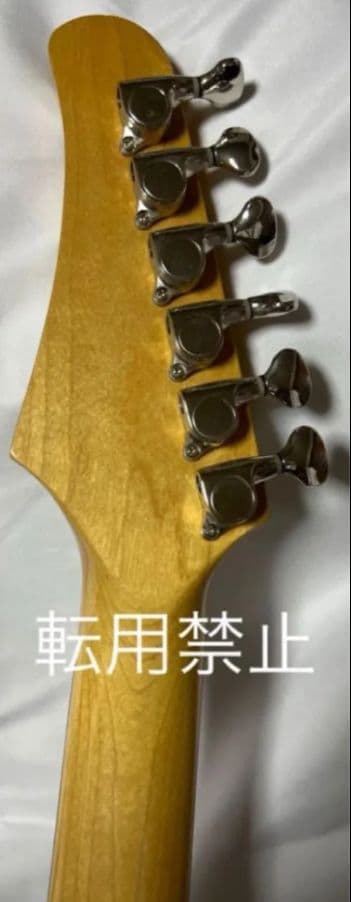 【珍品・激レア】Santanu Pro 光るギター