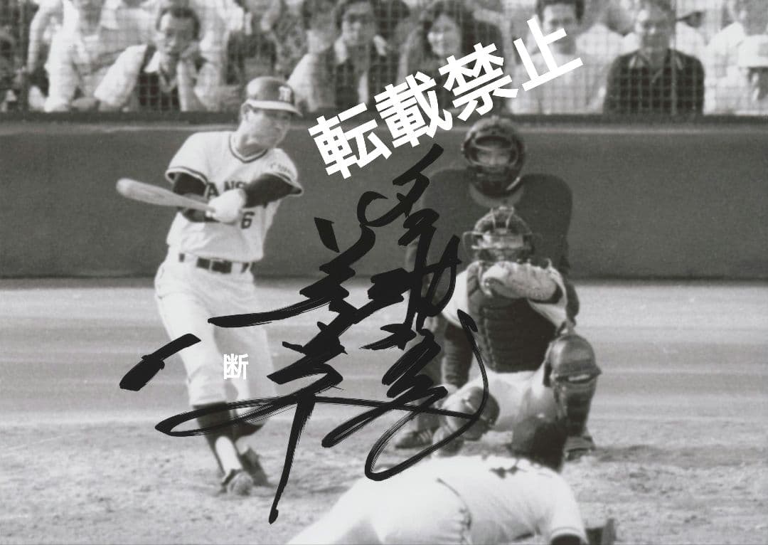 藤田 平 直筆 サイン 阪神 タイガース