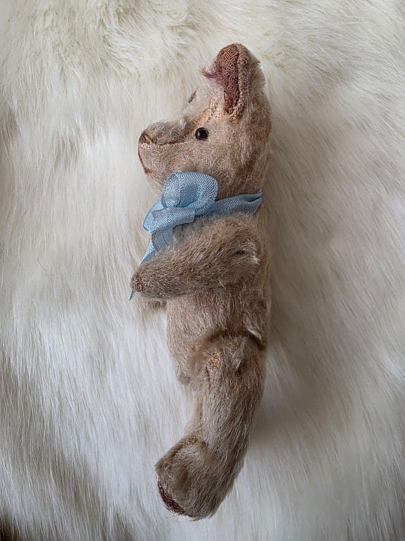 C　JPMベア　フレンチベア