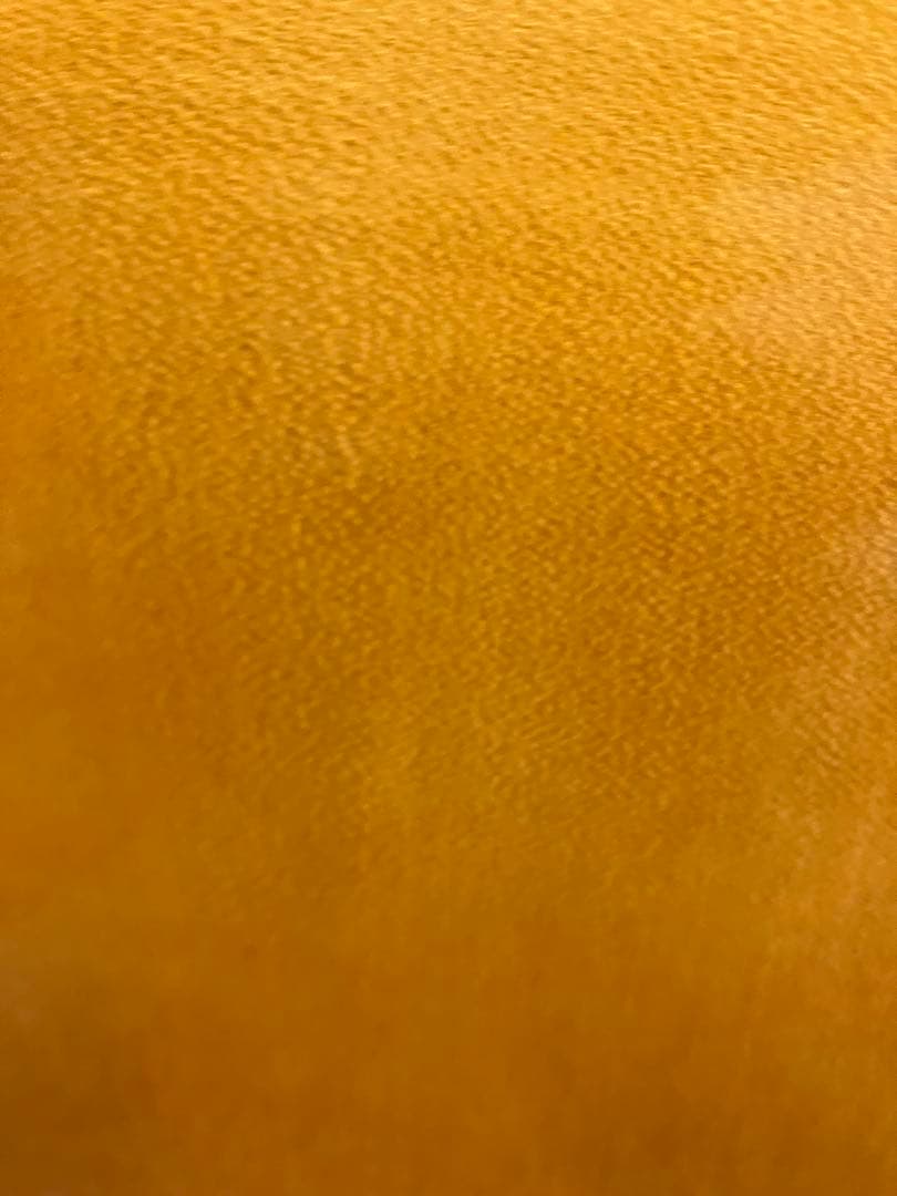 ヘルマンハープ Hermann Veeh 1428 2013 ハープ 美品