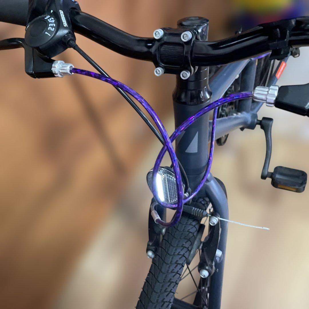 【タイペイ】RITEWAY ライトウェイ　20インチ　ブラック