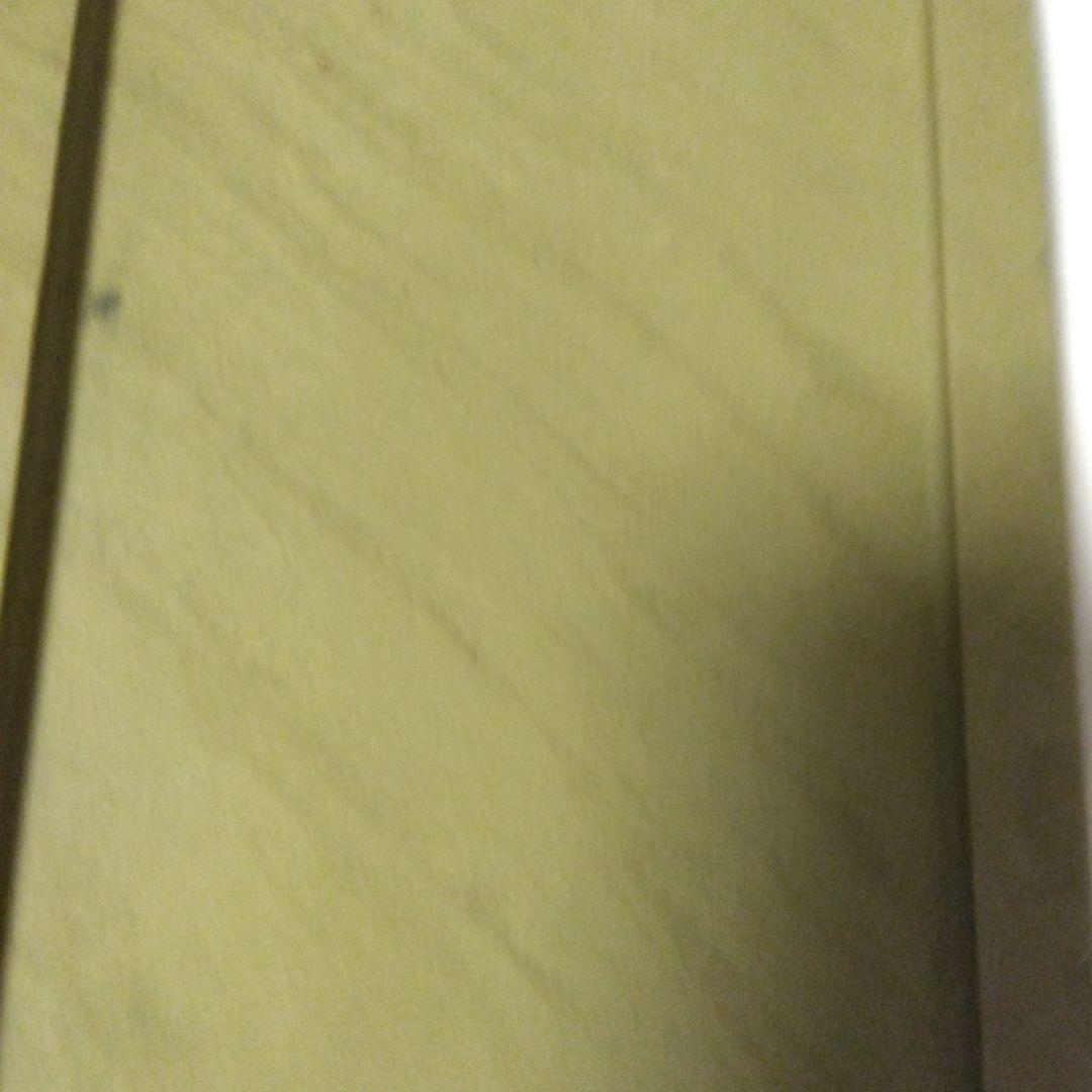 中国端渓 緑端渓 加厚淌池硯 9.1寸