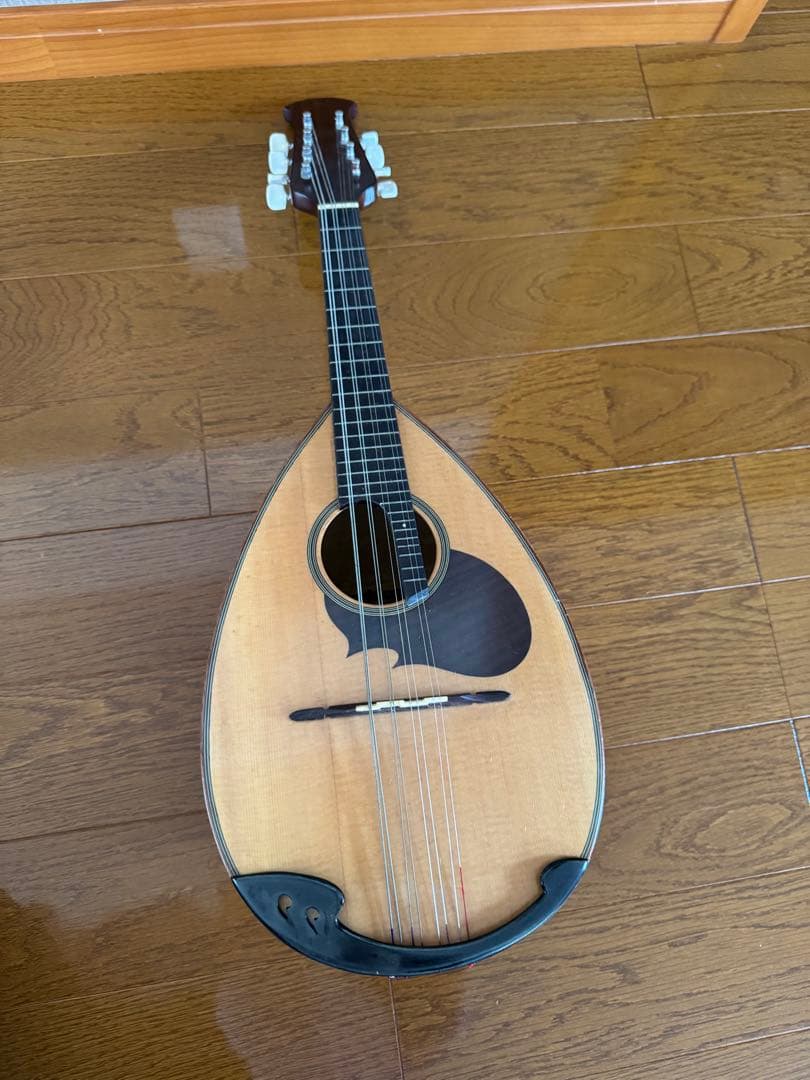 マンドリン スズキ M-20