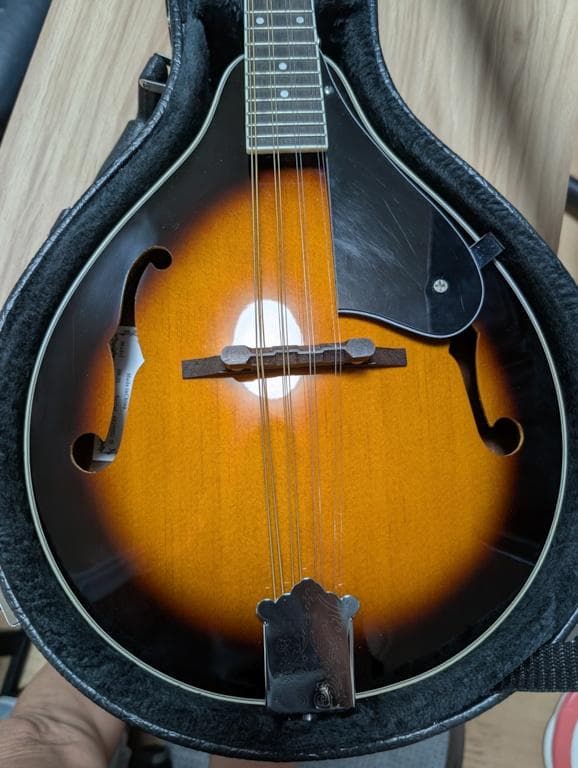 Aria フラットマンドリン AM-20 ハードケース付 美品