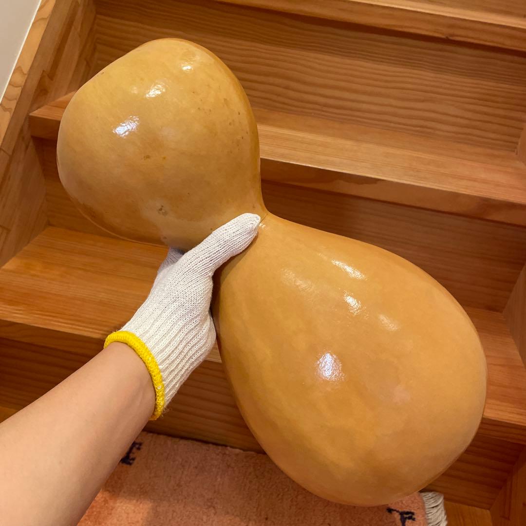 イプヘケ コーティング済