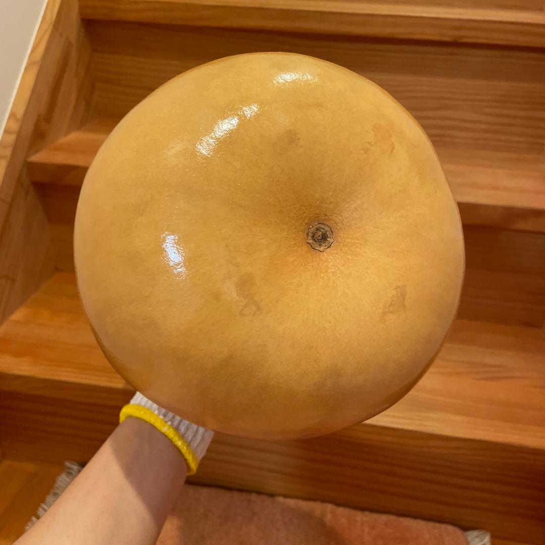 イプヘケ コーティング済