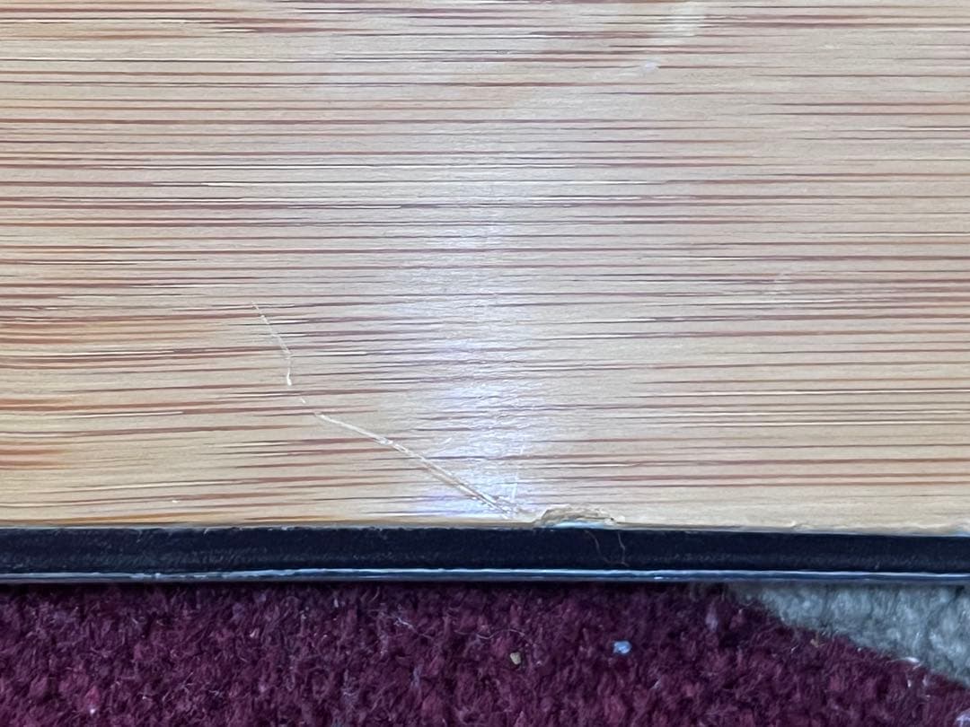 ゲンテンスティック　ジャイアントマンタレイ