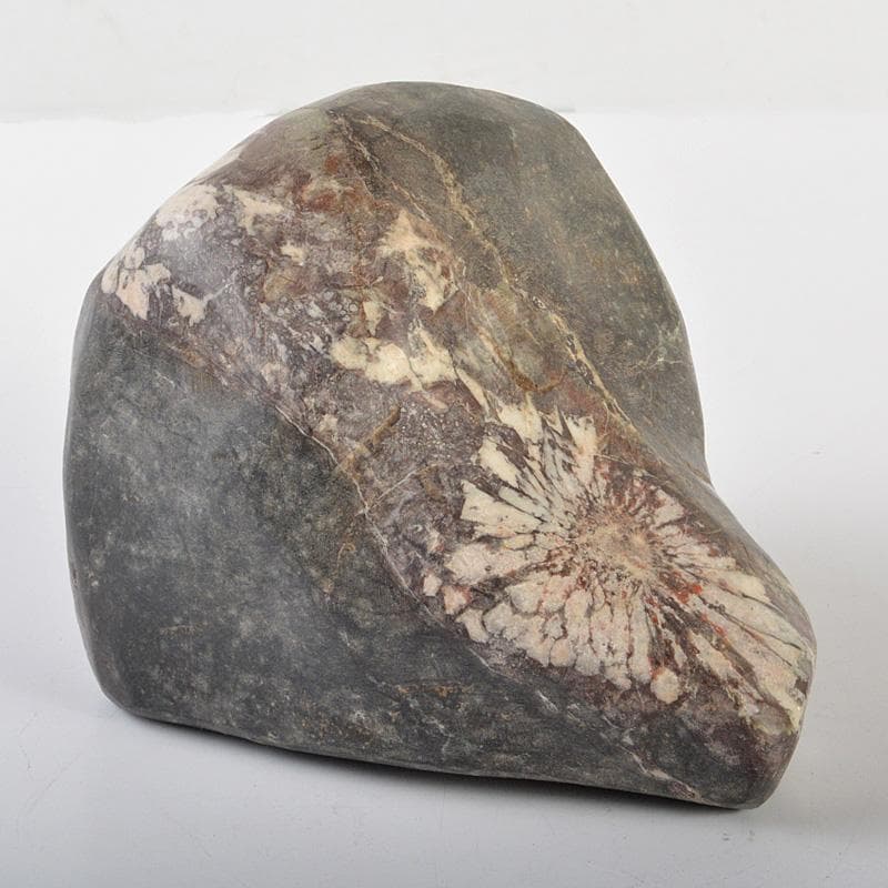 鑑賞石　天然石　菊花石　置物　重さ約2506g　V　6166