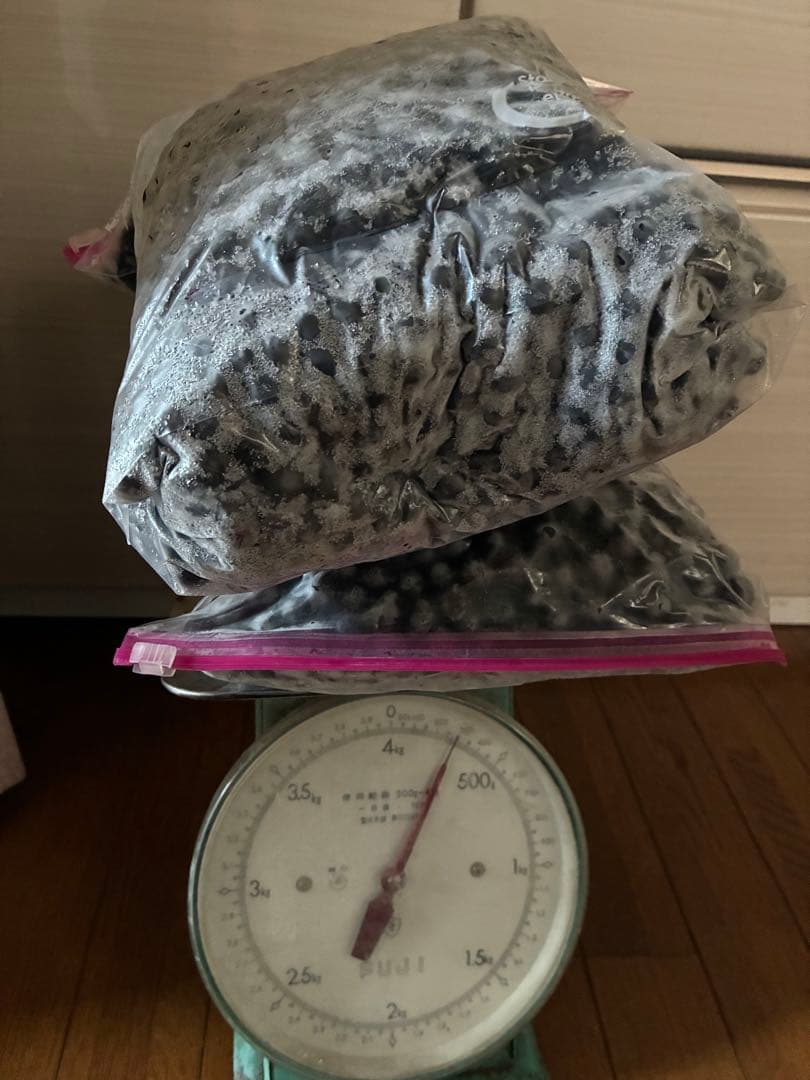 冷凍ブルーベリー　無農薬　約4.2キロ