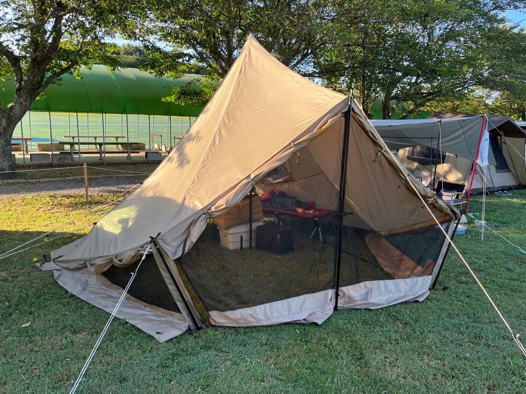 サバティカル　モーニンググローリー　シンセティックプラス