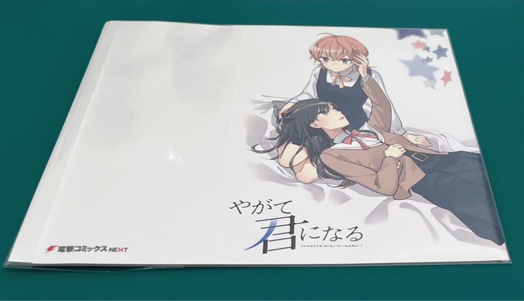 【激レア】　やがて君になる　仲谷鳰　ブックカバー　特典限定品　百合　漫画　希少