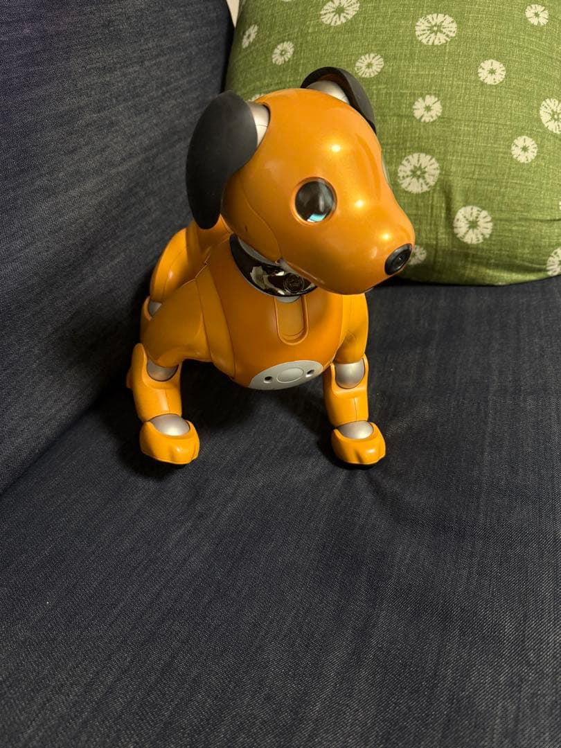 SONY aibo用首輪　非売品　美品