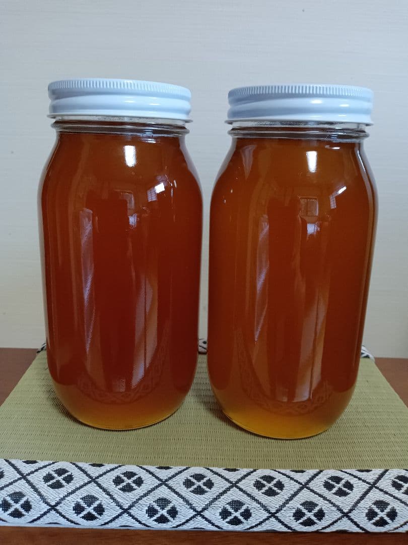 日本ミツバチの蜂蜜（1kg×2本）