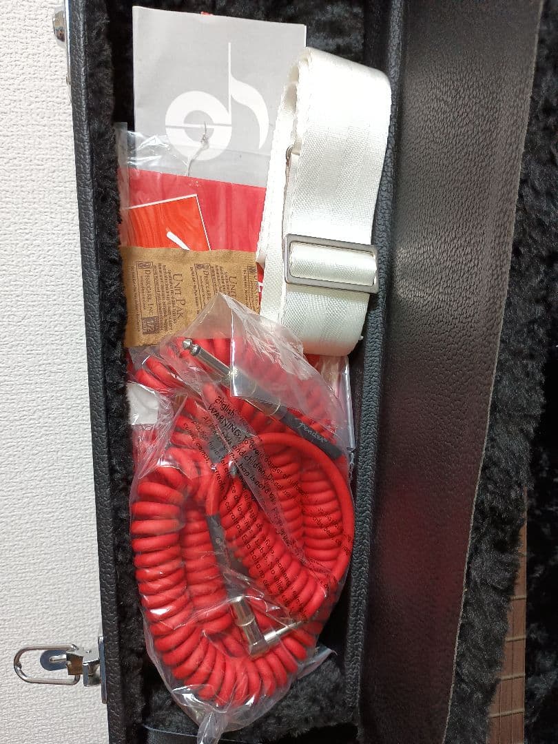 Jimmy Page Telecaster ドラゴンテレキャスター