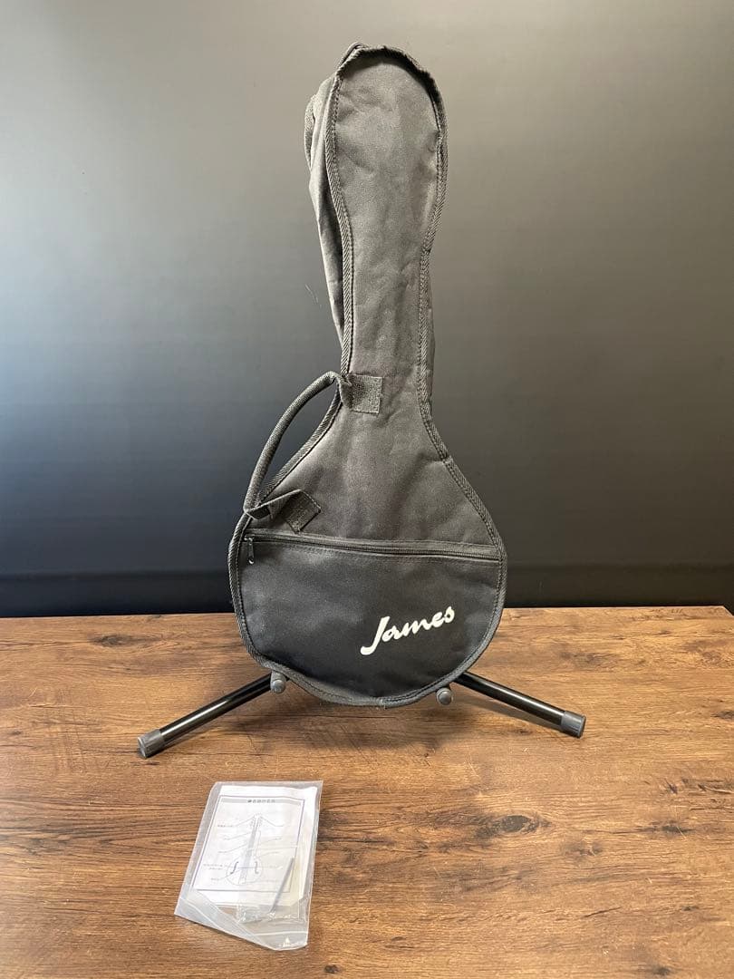 ジェームス James マンドリン JAM300BS ケース付き